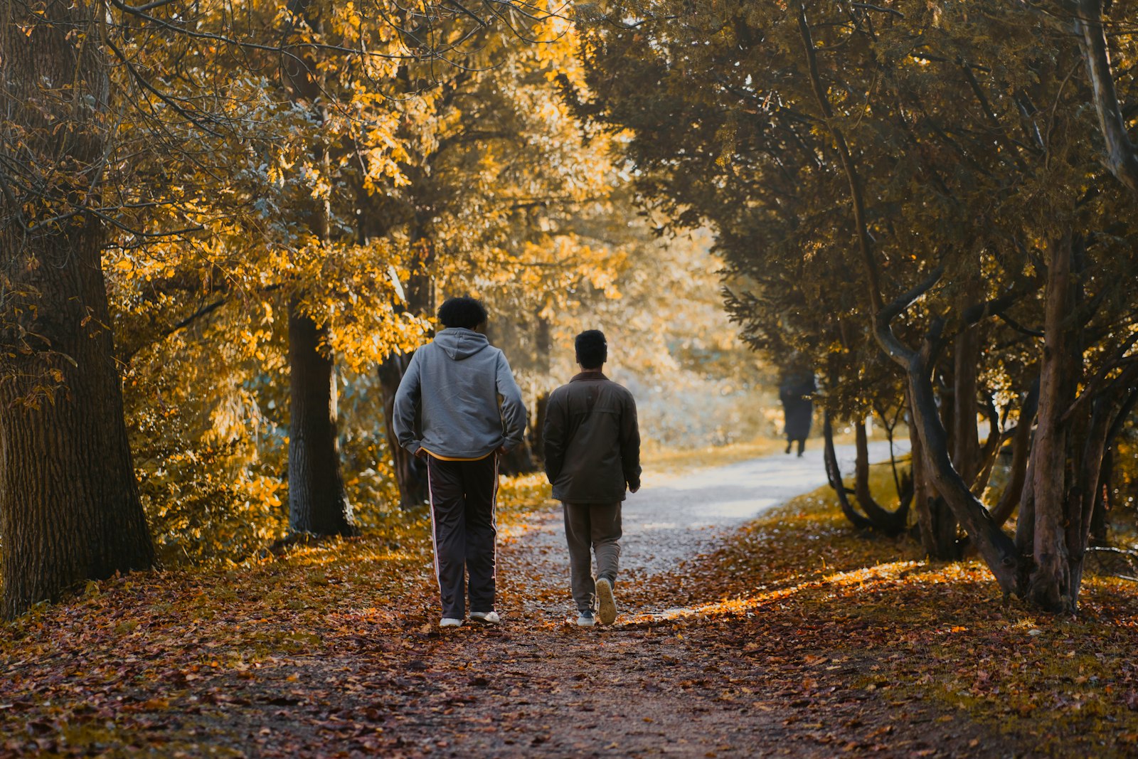 Pensions, Pension Planning Services